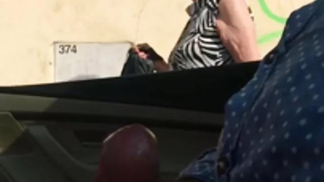 გეი პენისი