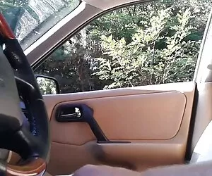 დიდი ძუძუები, დიდი გახეული ტყნაური, ზურგიდან, ანალური, ჯგუფი ძუძუები